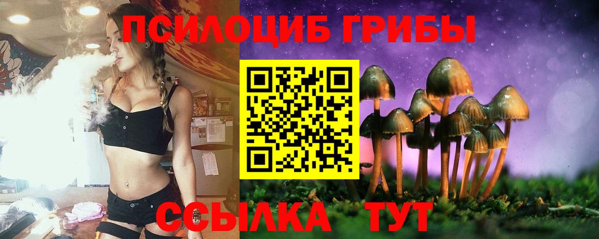 купить наркоту  Вход с VPN  Азов  Галлюциногенные грибы GOLDEN TEACHER 